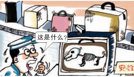非洲籍展商携大量黄金珠宝过安检引众人感叹