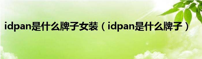 idpan是什么牌子女装（idpan是什么牌子）